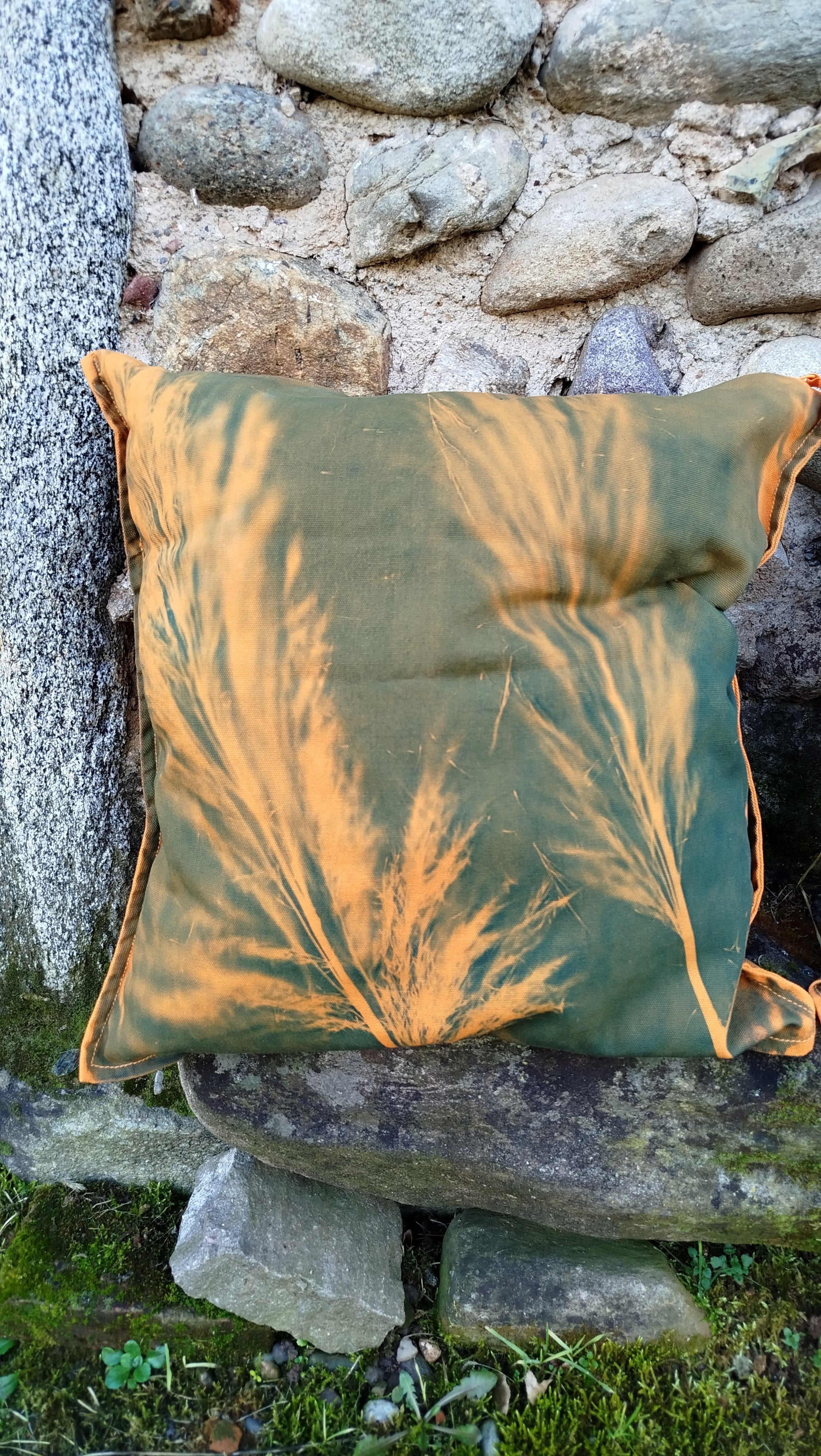 Federa con cianotipia di Pampas