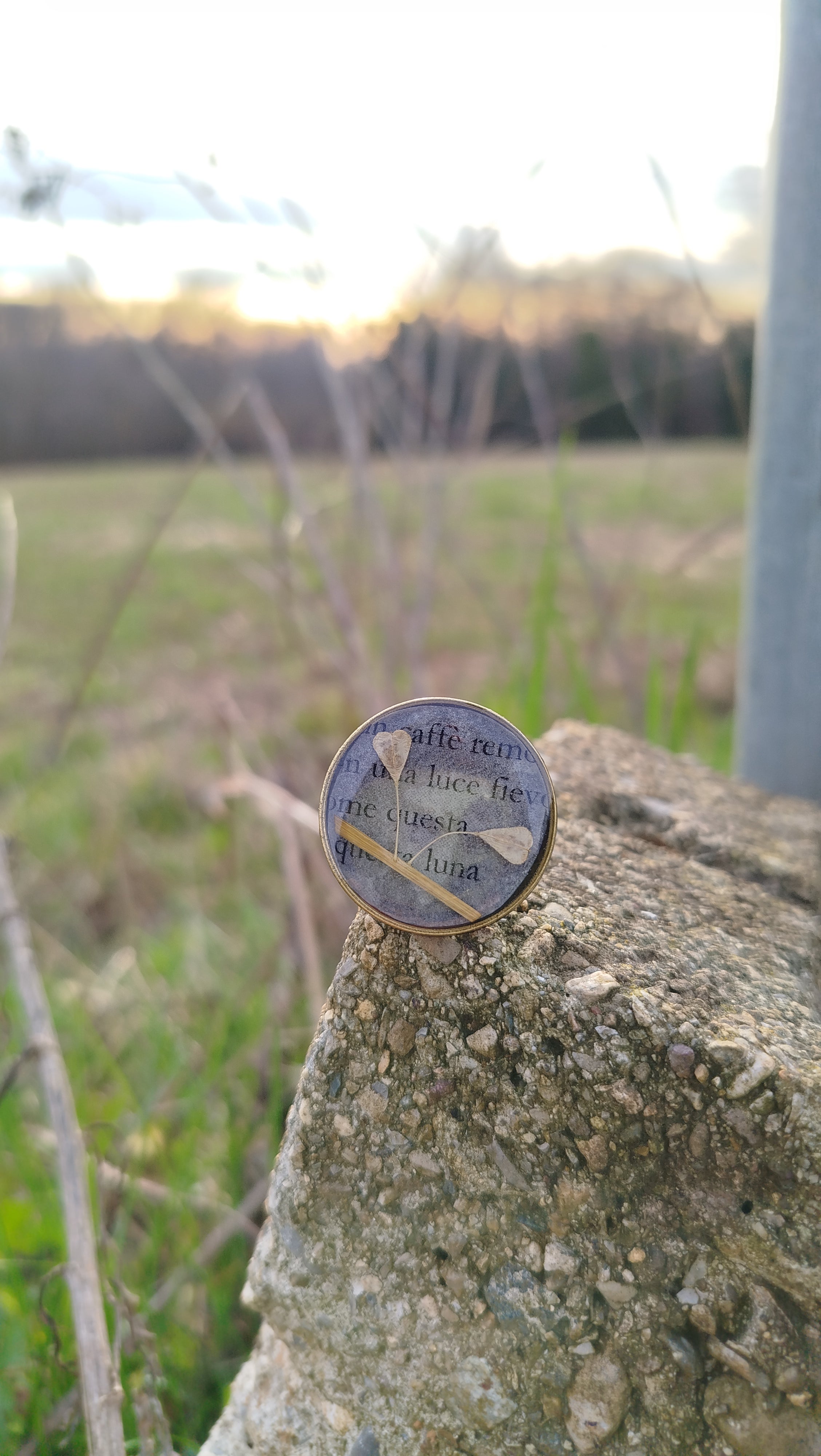 Anello regolabile con borsa pastore