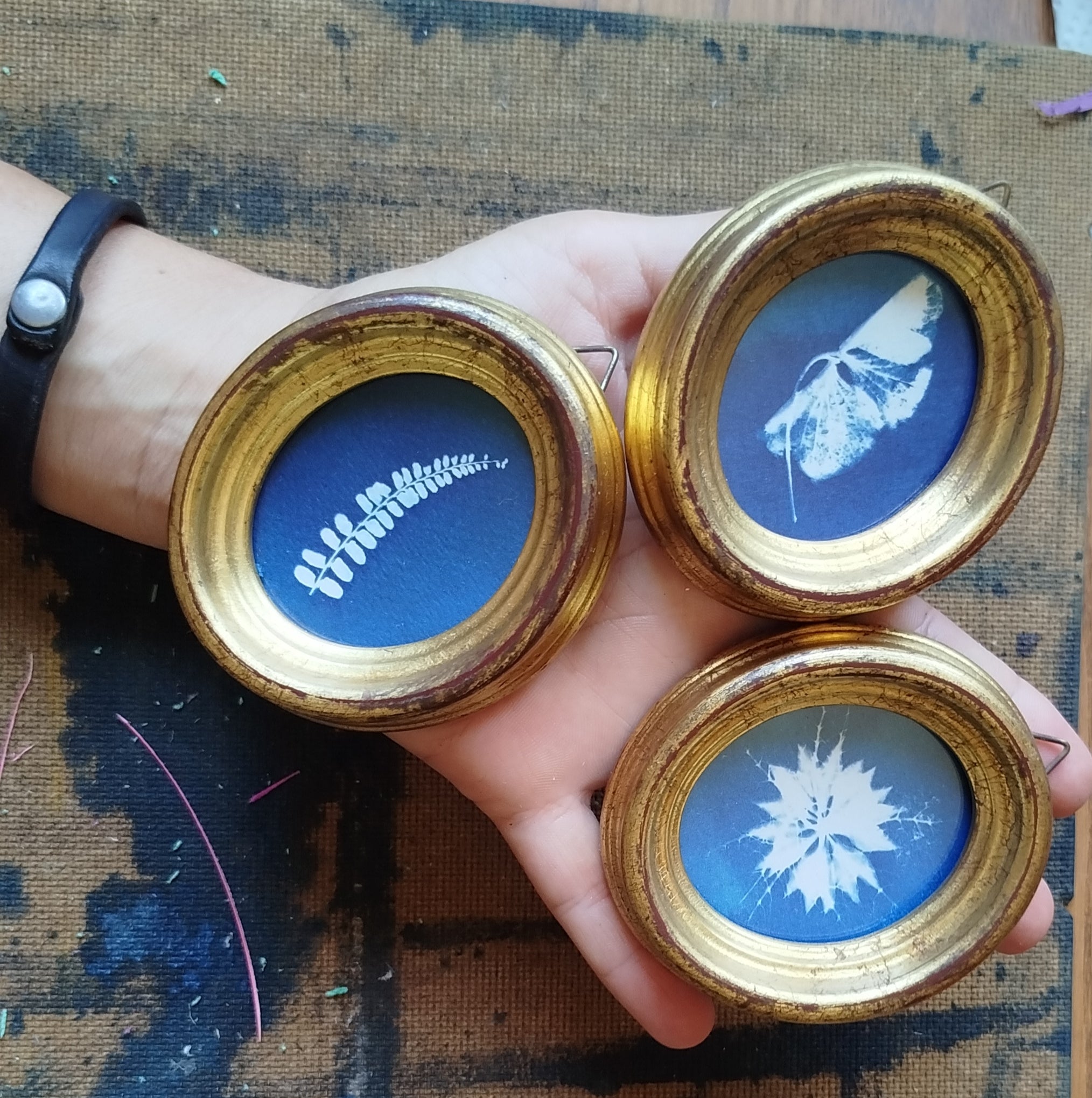 Quadretto ovale con cianotipia di ortensia