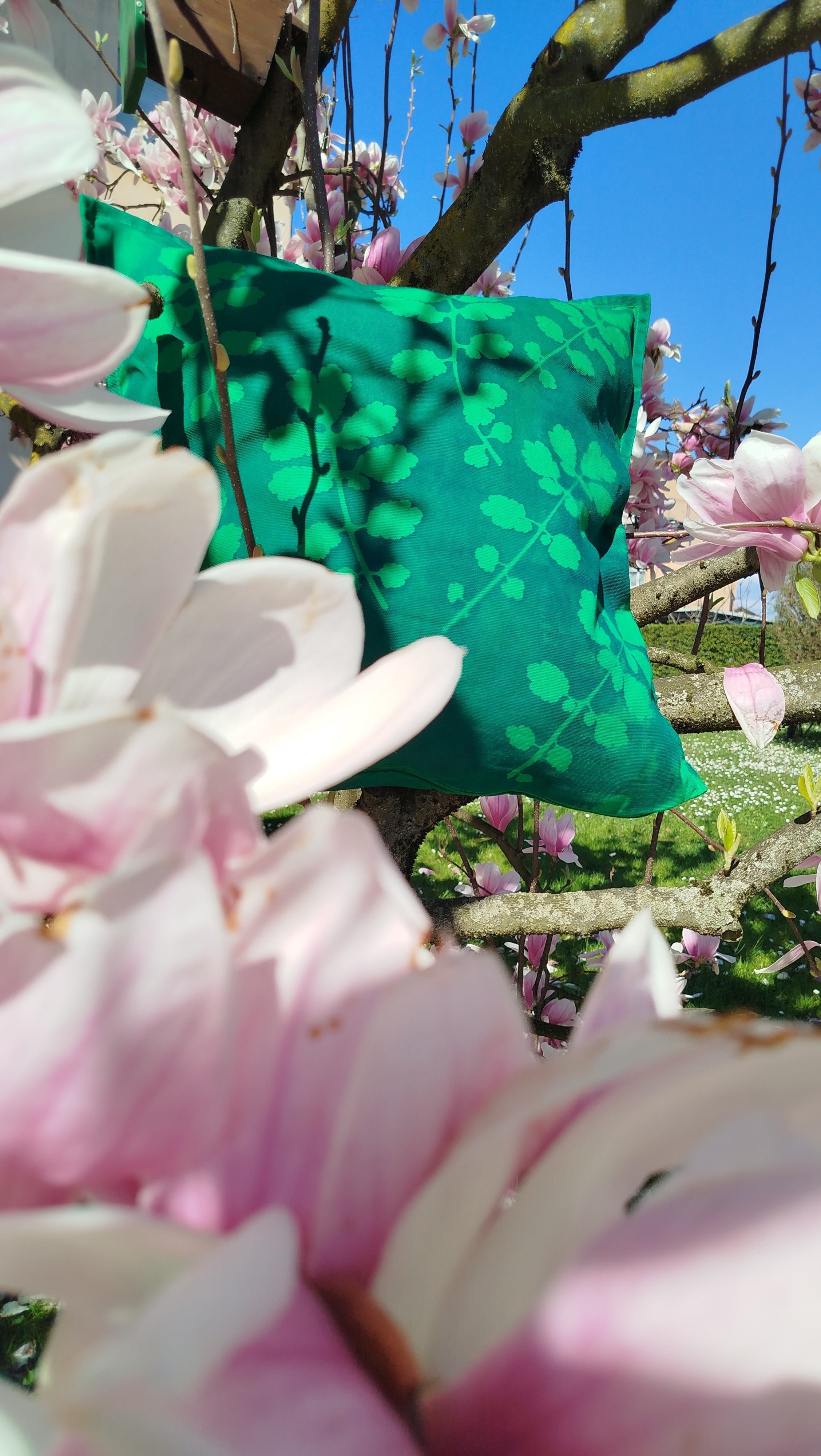 Federa con cianotipia di celidonia