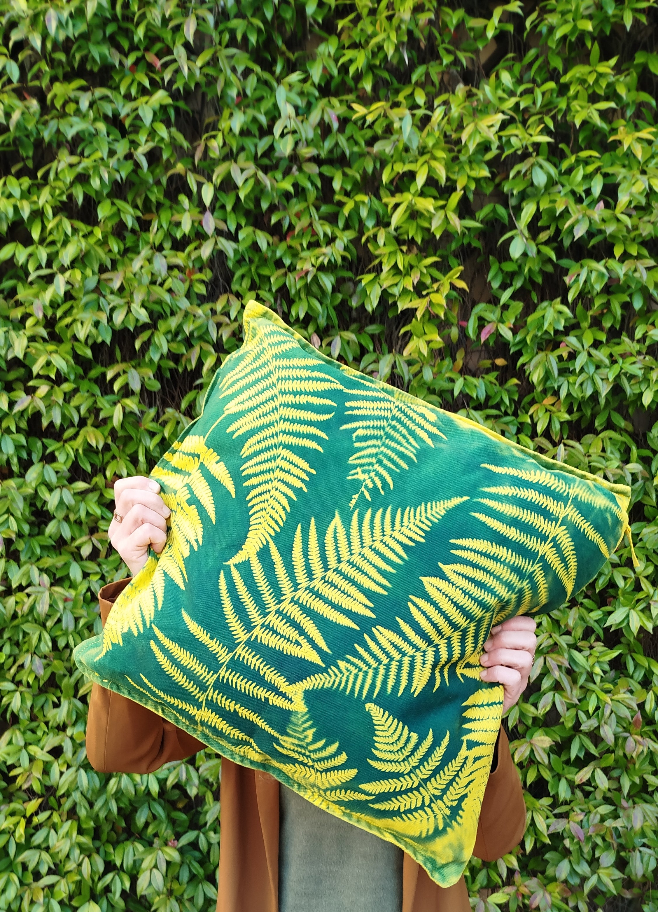 Federa con cianotipia di felce