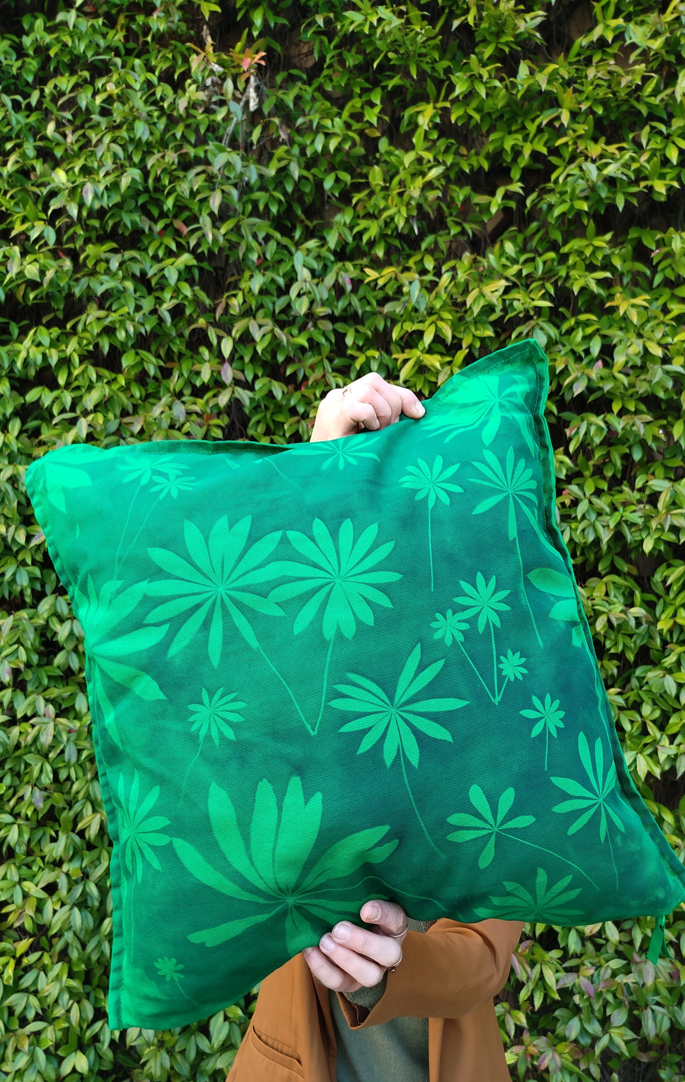 Federa con cianotipia di lupino