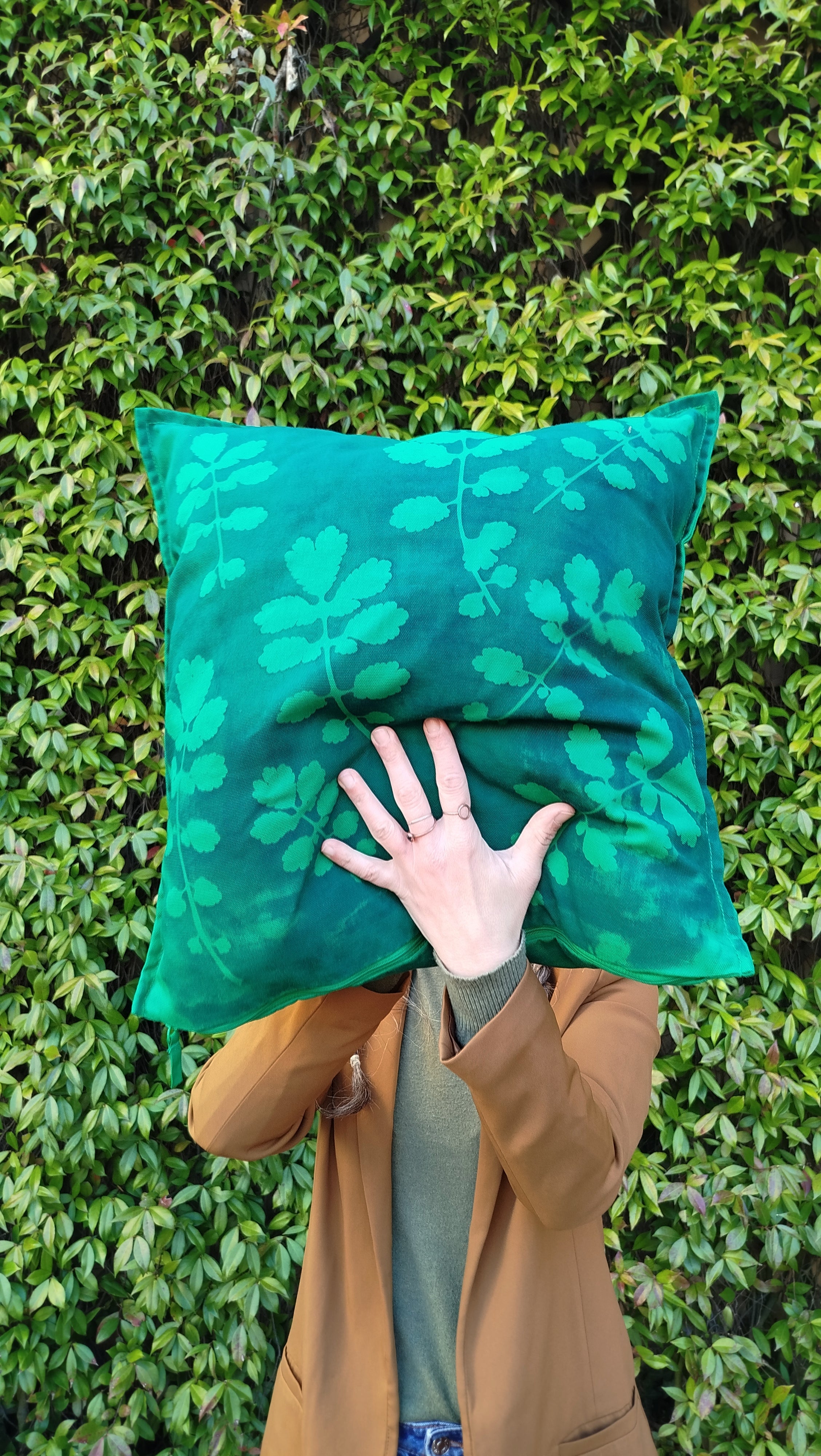 Federa con cianotipia di celidonia