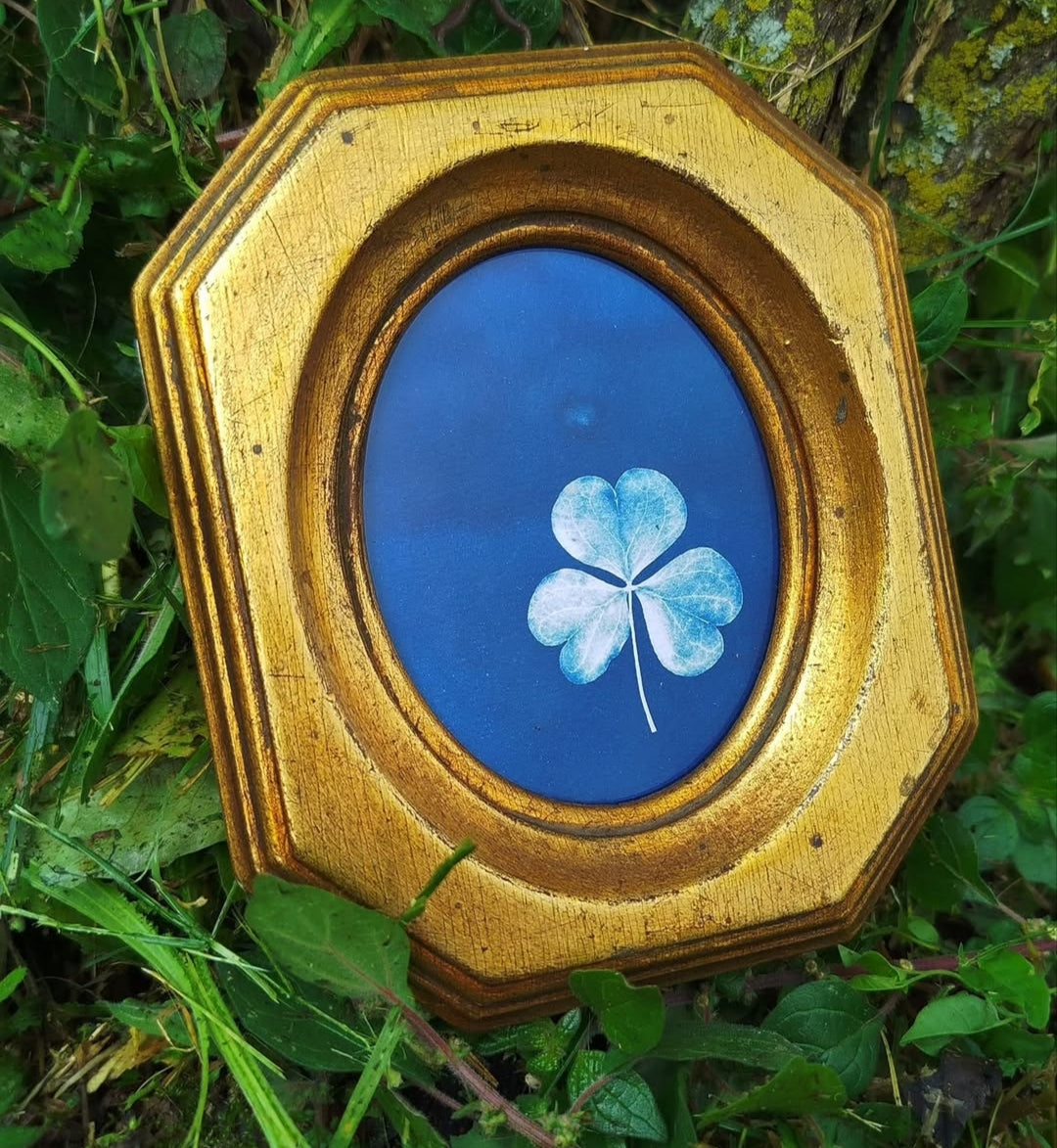 Quadretto con ossalide
