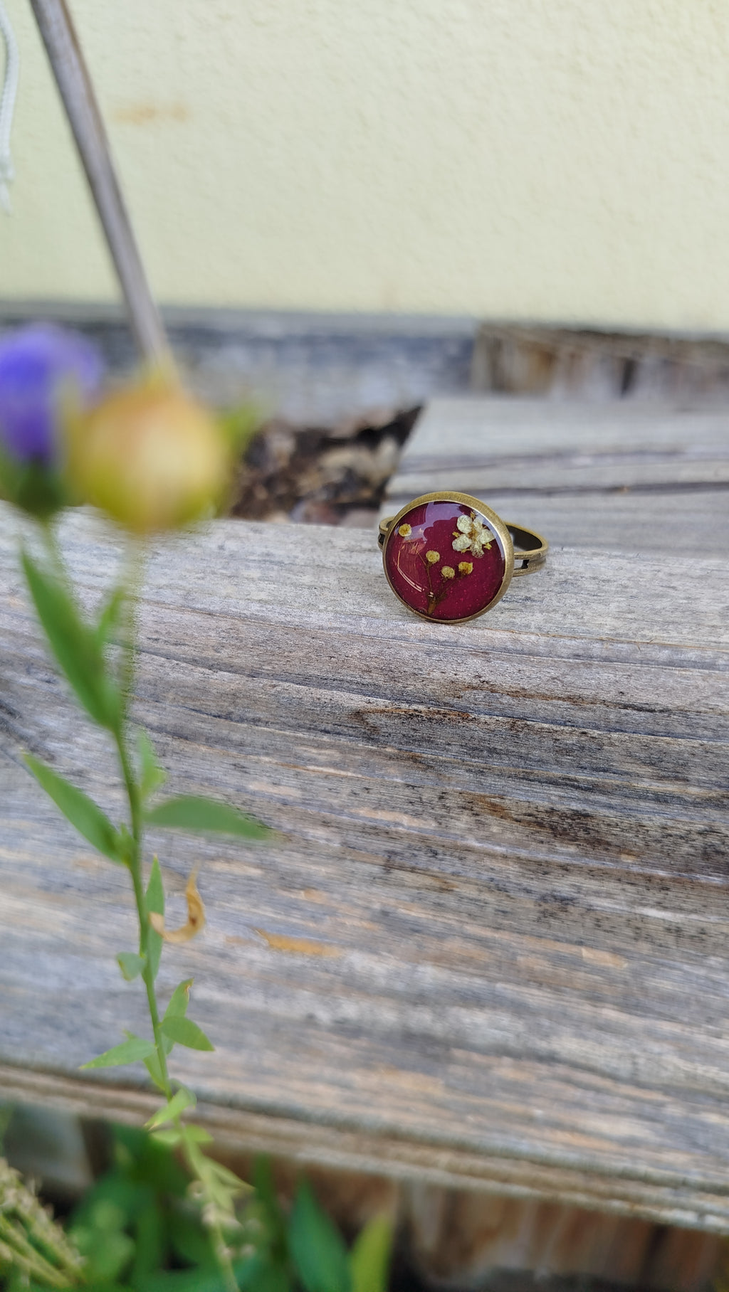 Anello regolabile con sambuco