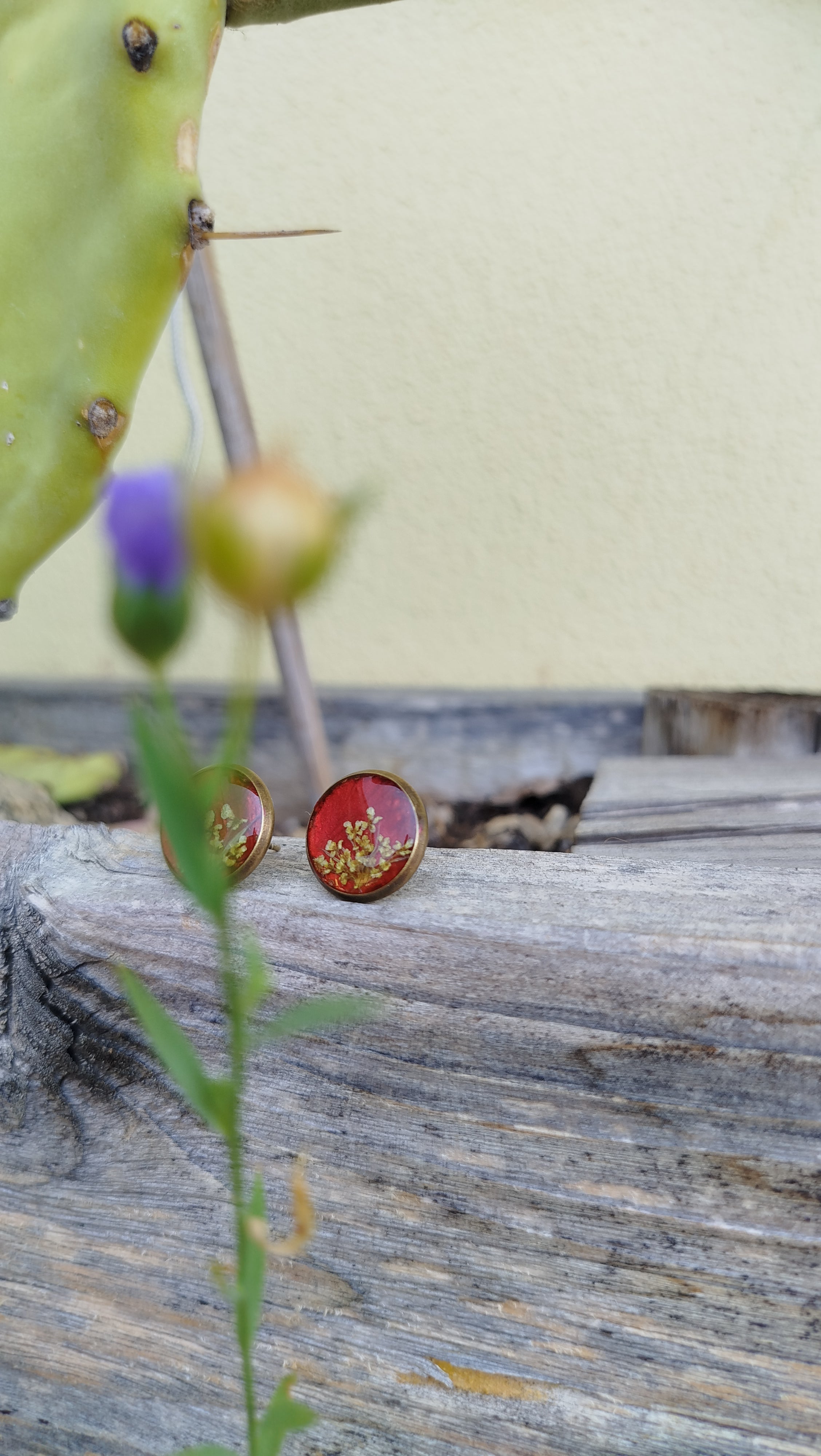 Orecchini a lobo con carota selvatica