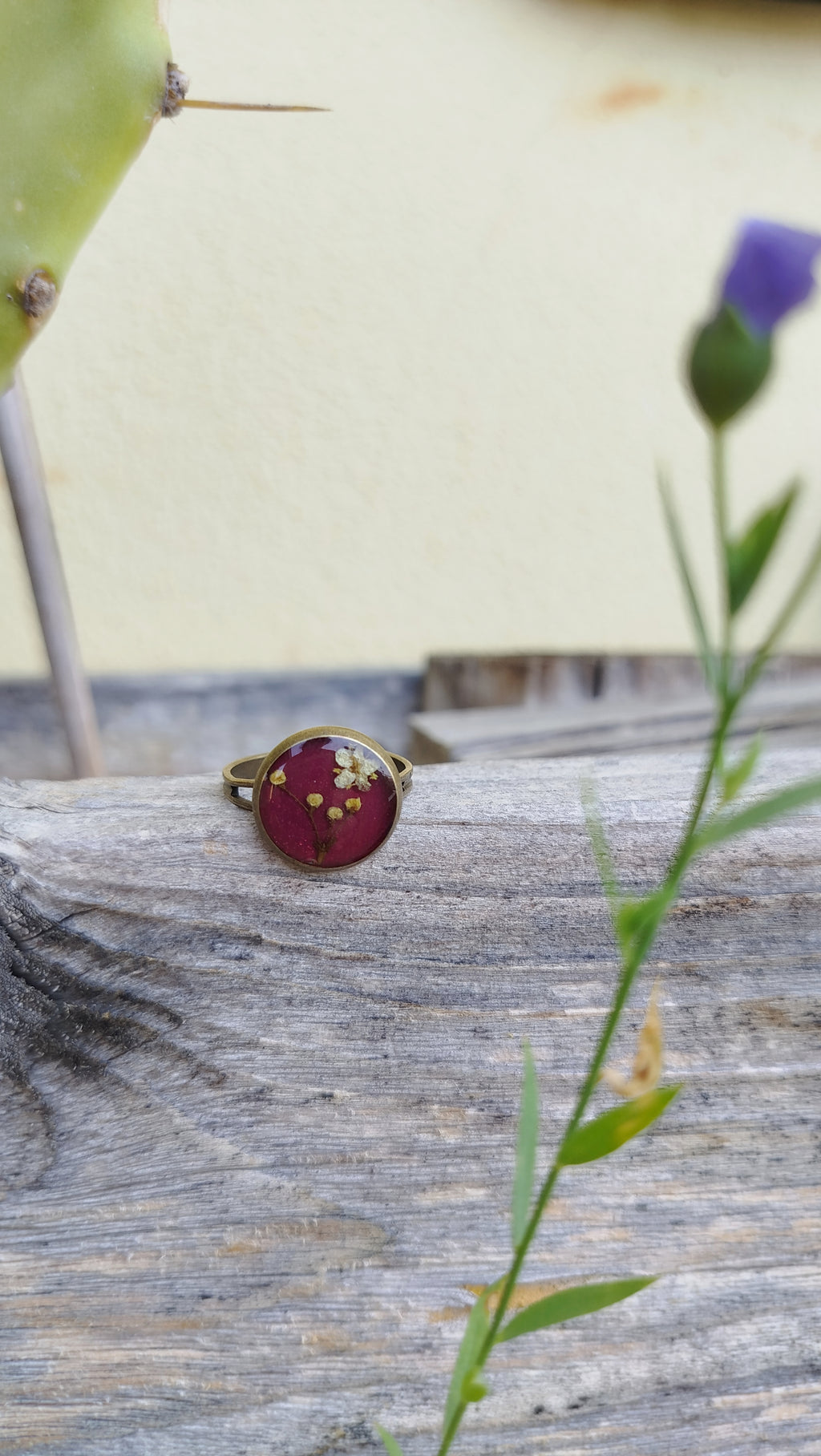 Anello regolabile con sambuco