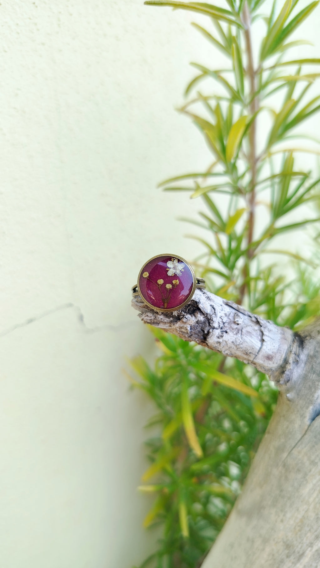 Anello regolabile con sambuco