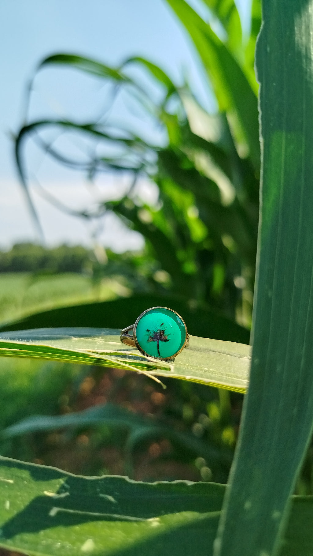 Anello regolabile con fiore di acero giapponese