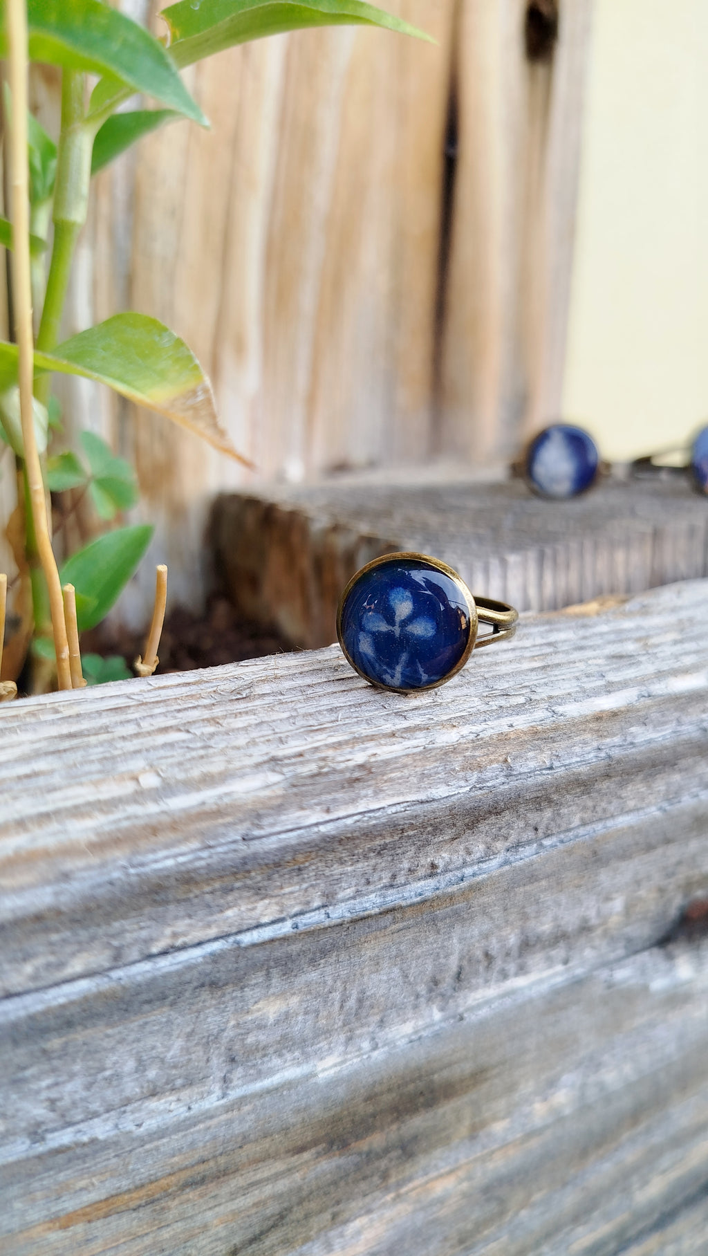 Anello regolabile con cianotipia di carota selvatica
