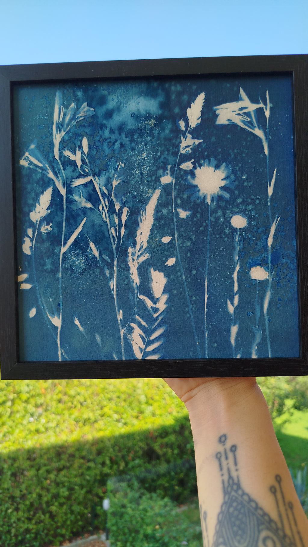 Quadro con cianotipia umida di fiori di campo