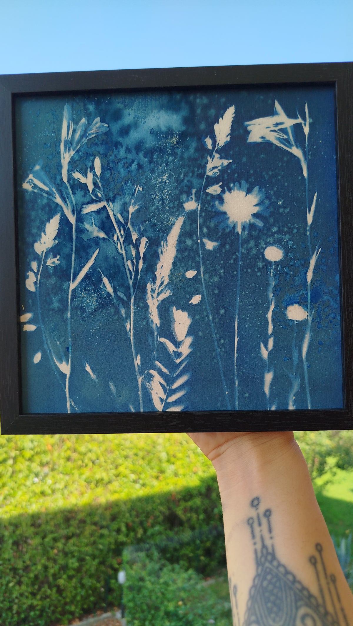 Quadro con cianotipia umida di fiori di campo