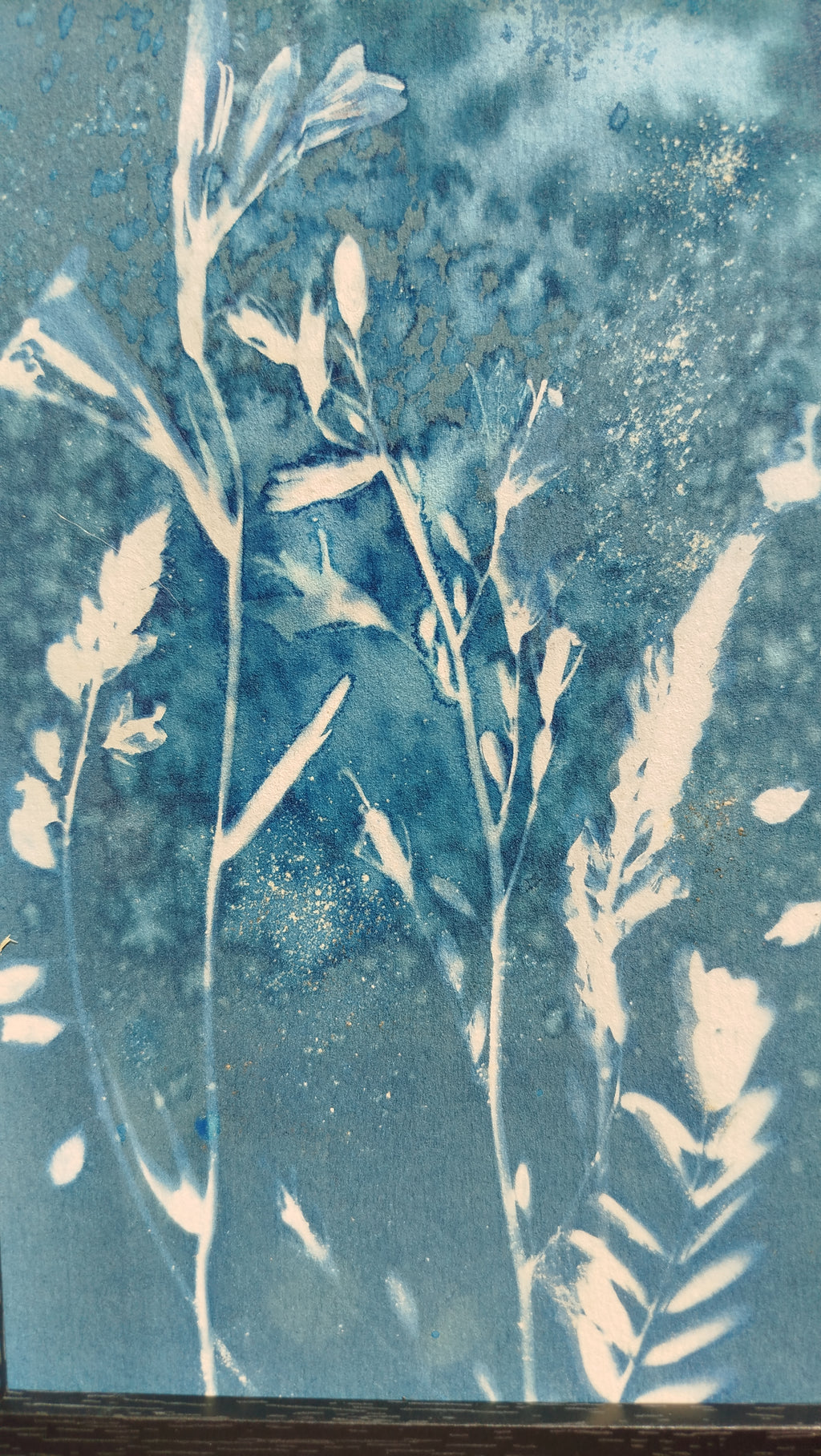 Quadro con cianotipia umida di fiori di campo