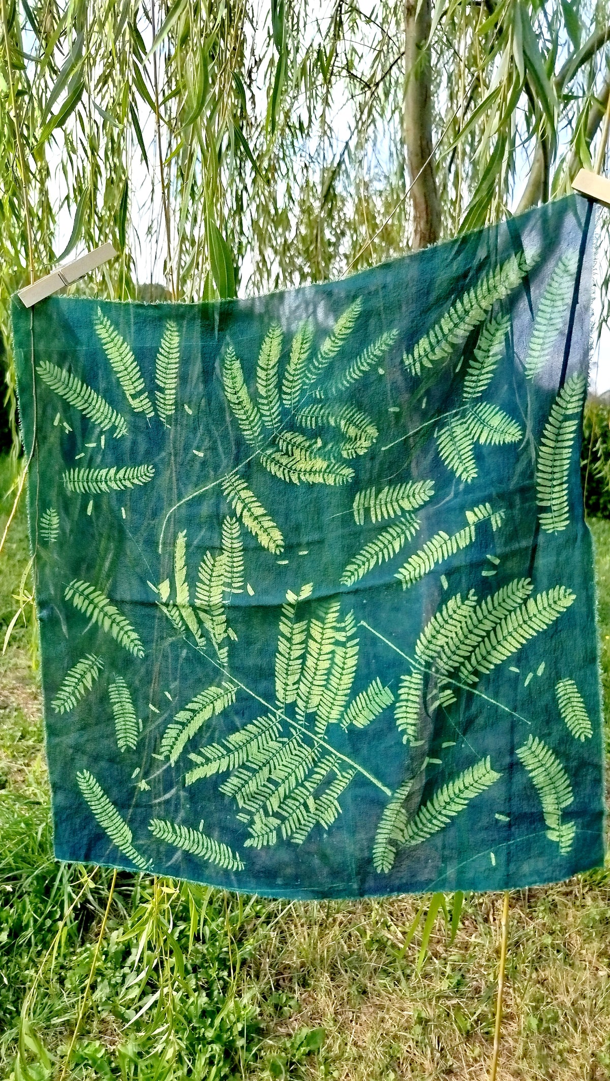 Foulard in seta con cianotipia di acacia di Costantinopoli