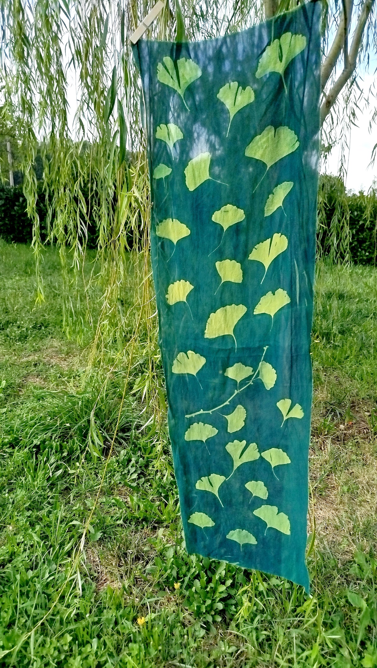 Sciarpetta con cianotipia di ginkgo