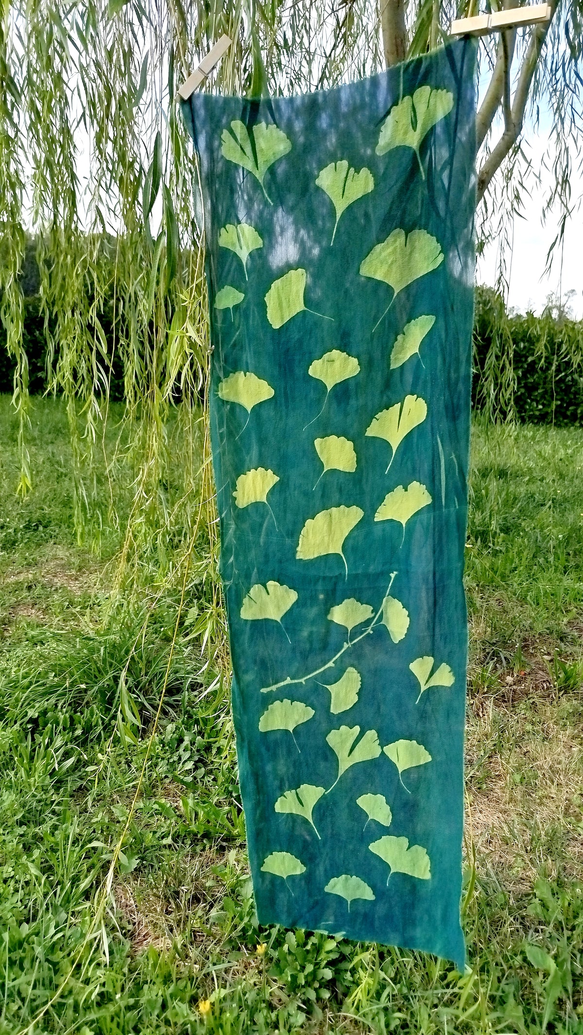 Sciarpetta con cianotipia di ginkgo