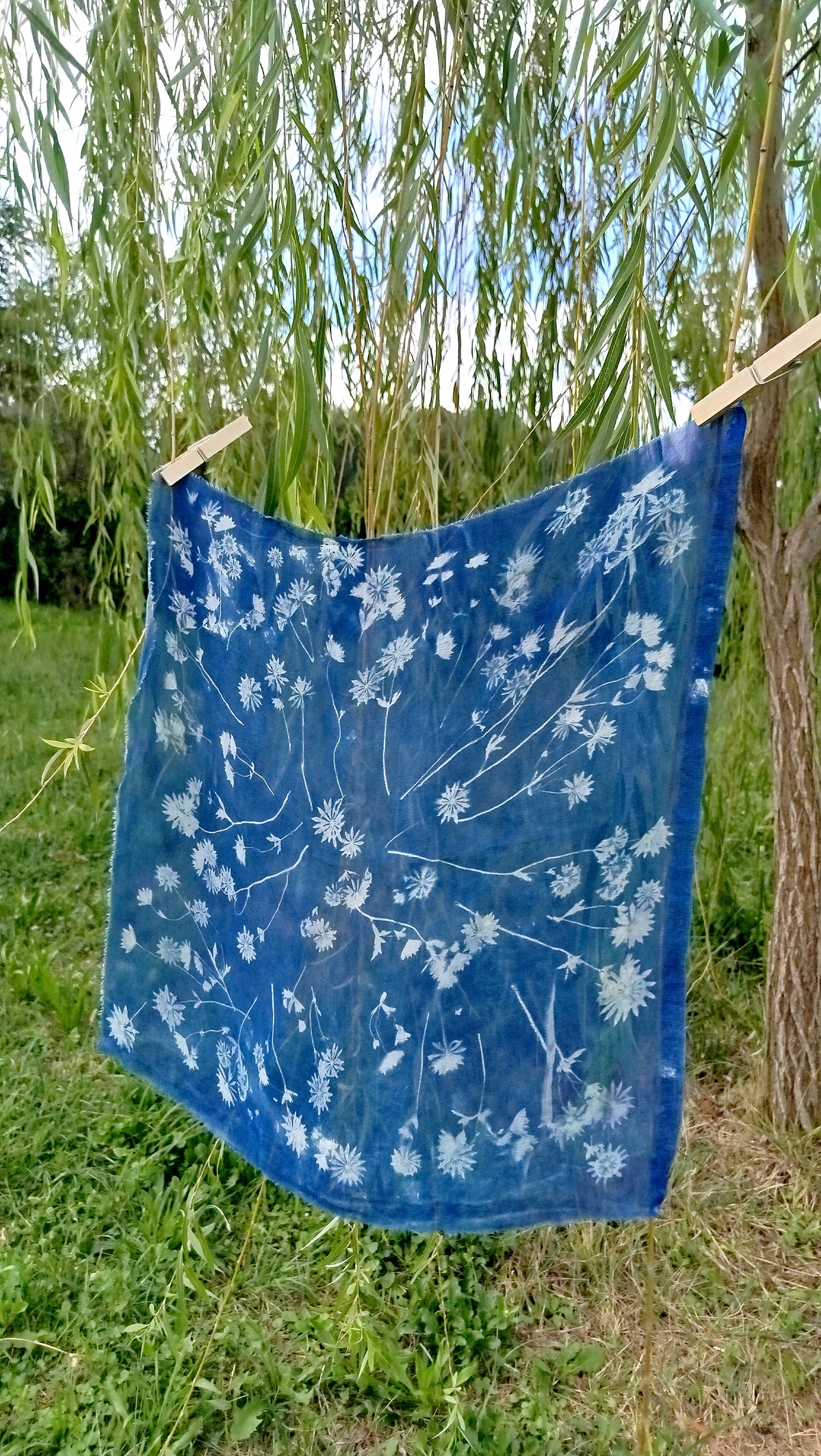 Foulard in chiffon di seta con cianotipia di astranzia maggiore