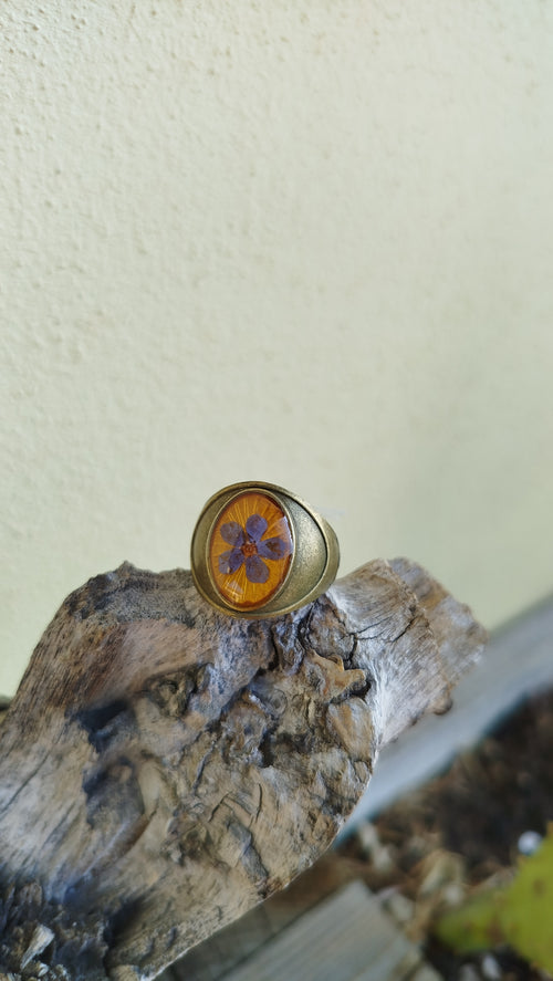Anello misura fissa con non ti scordar di me