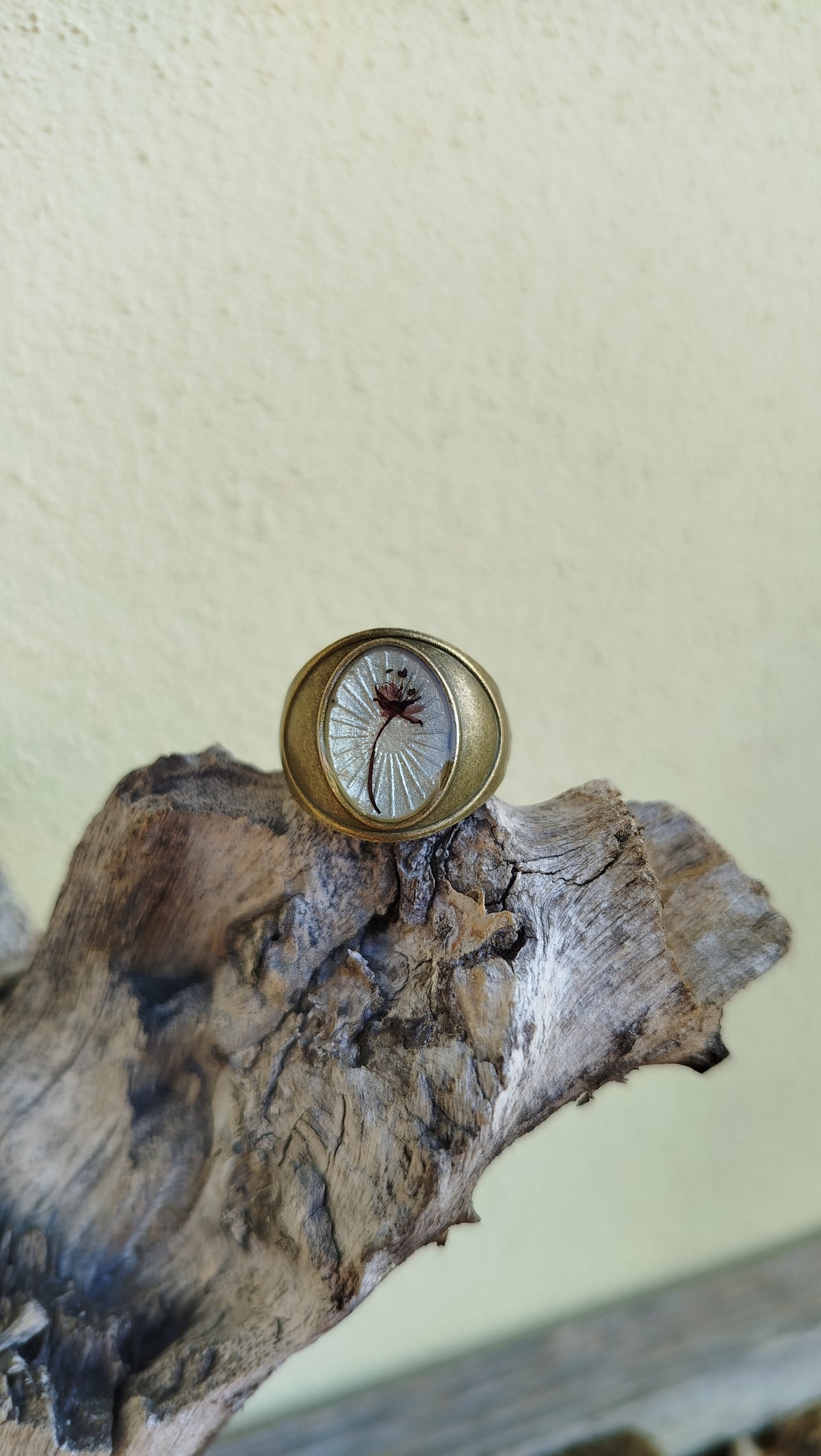 Anello misura fissa con acero giapponese
