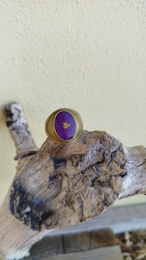 Anello misura fissa con alisso