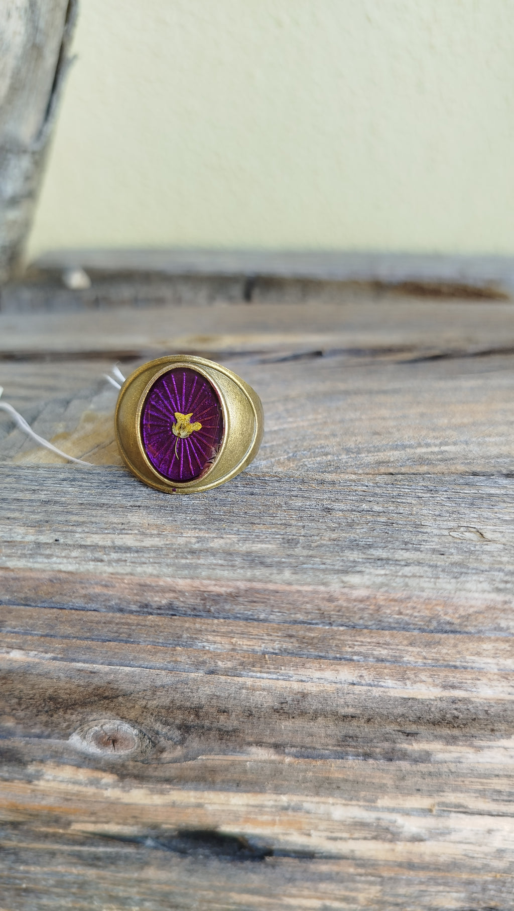 Anello misura fissa con alisso